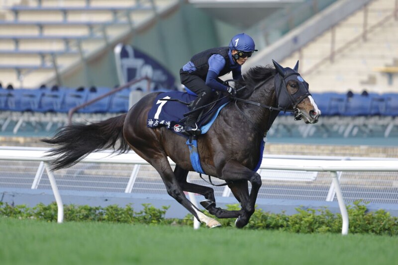 【香港国際競走】引退レースのソウルラッシュ、香港で有終の美なるか…JRA勢が自信の最終調整