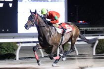 【高知・玉島特別】永森大智「やっと蛙になれました」…オタマジャクシが3連勝