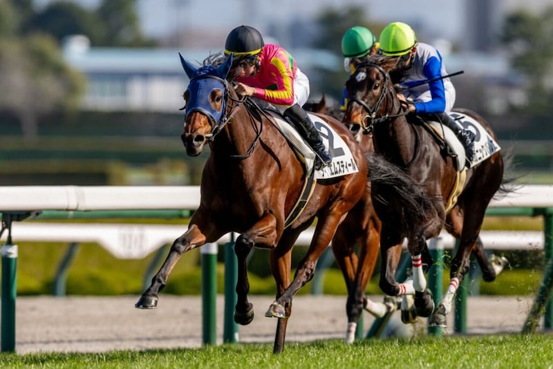 【新馬/阪神4R】リアルスティール産駒 テイエムスティールの直線一気炸裂