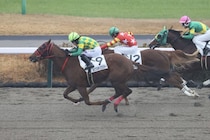 【新馬/中山6R】ミスターメロディ産駒 ルクスポップスターがデビューV