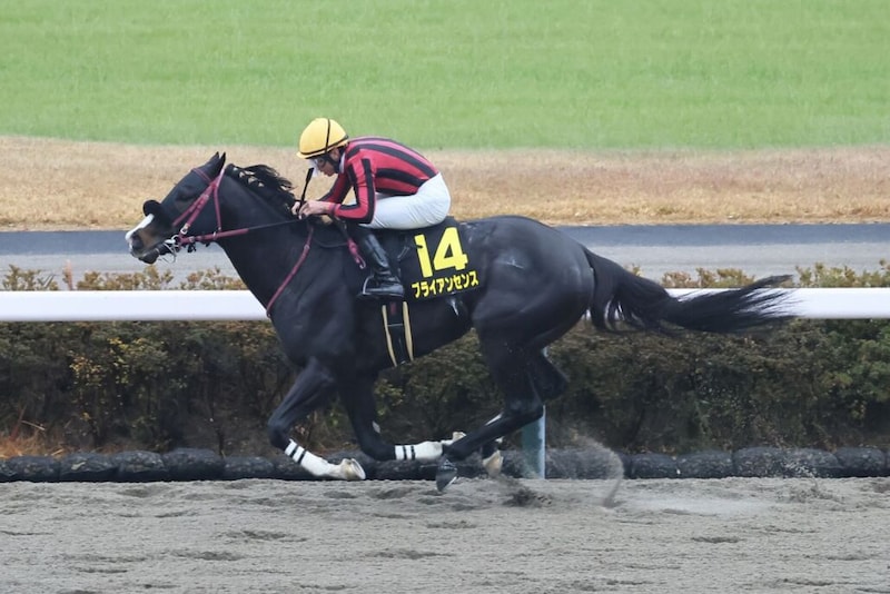 【師走S】ブライアンセンスが6馬身差圧勝