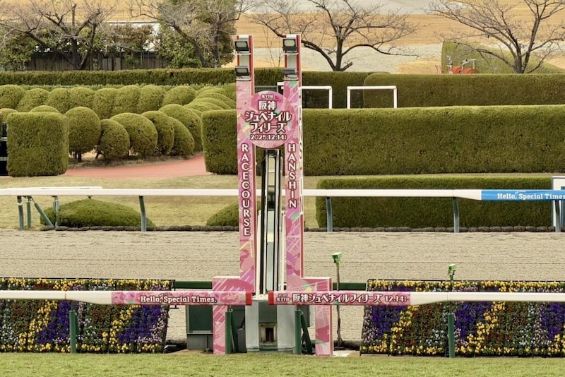 【阪神JF】スターアニスが2歳女王に…母はエピセアローム