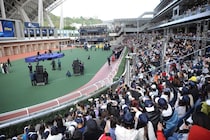 【香港スプリント】強すぎる！世界最強スプリンター・カーインライジングが16連勝