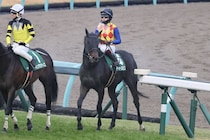 【カペラS】鮫島駿「本当に可能性を感じる」テーオーエルビスが4連勝