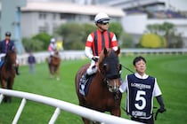 【香港スプリント】三浦「非常に悔しいです」ウインカーネリアンは11着