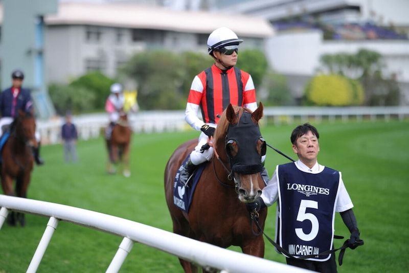 【香港スプリント】三浦「非常に悔しいです」ウインカーネリアンは11着