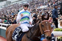 【香港マイル】パートン「見事な走りでした」ヴォイッジバブルが連覇