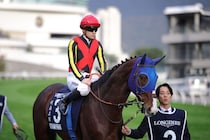 【香港カップ】ルメール「ゴールまでファイトしてくれた」ローシャムパークは5着まで