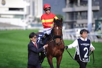 【香港カップ】上村師「相手も手強かった」ベラジオオペラは惜しくも2着