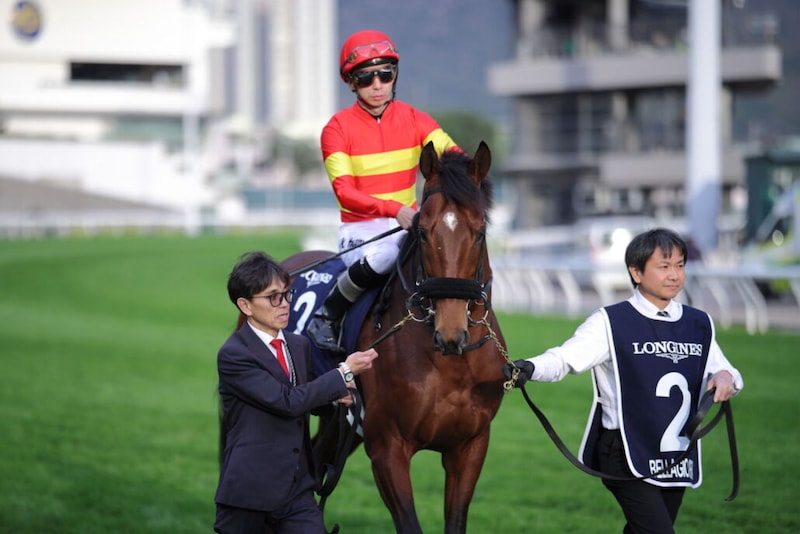 【香港カップ】上村師「相手も手強かった」ベラジオオペラは惜しくも2着