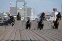 【ばんえい十勝】積雪の影響により15日の開催中止…代替開催はなし