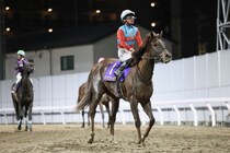 【全日本2歳優駿】田口貫太「男馬相手に良い走りをしてくれた」レース後ジョッキーコメント