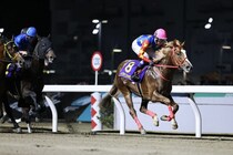 【武豊日記】師走らしく忙しく飛び回っています