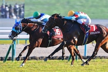 【朝日杯FS】アドマイヤクワッズは474kg…出走馬の調教後における馬体重