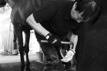 【装蹄師・西内荘コラム】年末へ向かう不安定な気候と2歳ダート王誕生