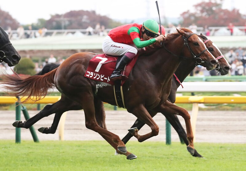 コラソンビートが登録抹消…繁殖入り