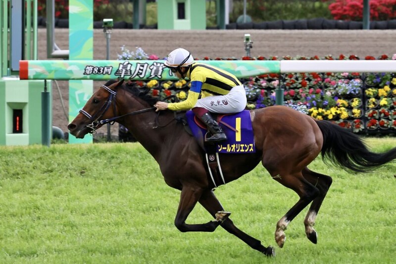 皐月賞馬ソールオリエンスが登録抹消…種牡馬入り