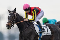 【新馬/中山5R】大物感溢れるプラウディッツがデビューV