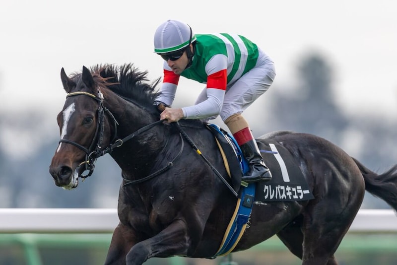 【ひいらぎ賞】断然人気クレパスキュラーがデビュー2連勝