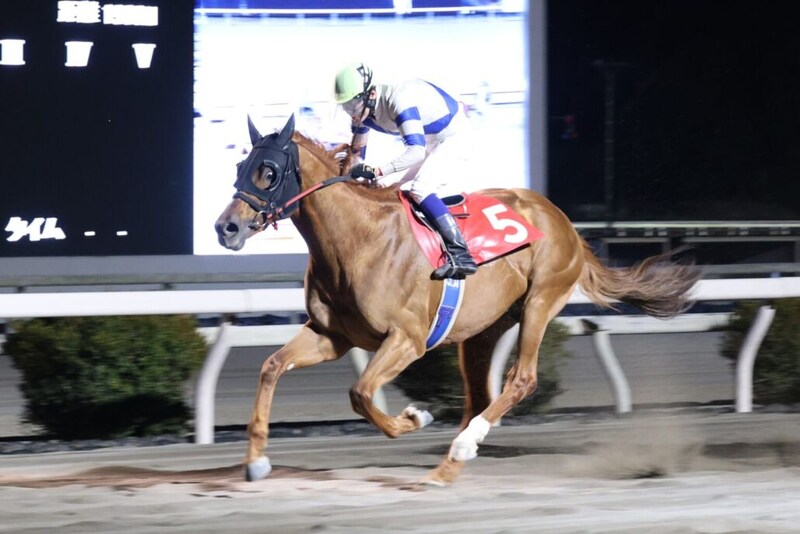 【鏡川特別】10歳馬健在！アルドーレが快勝