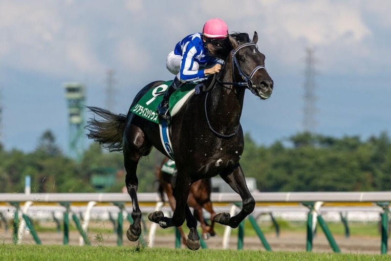 【朝日杯FS】リアライズシリウス8枠13番へ