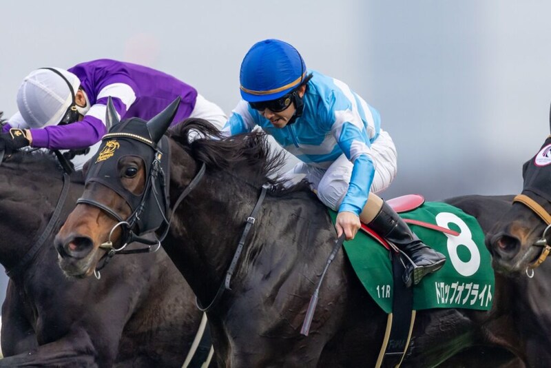 【ターコイズS】松若「もっと上を目指して頑張りたい」ドロップオブライトが重賞2勝目