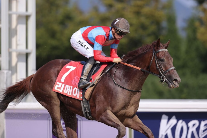 リメイクが引退…種牡馬入り