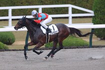 【阪神8R】武豊デルアヴァーが鮮やかな差し切りV…2、3着波乱で3連単は300万円超え