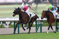 【新馬/阪神5R】良血トリニティが快勝…母はヌーヴォレコルト