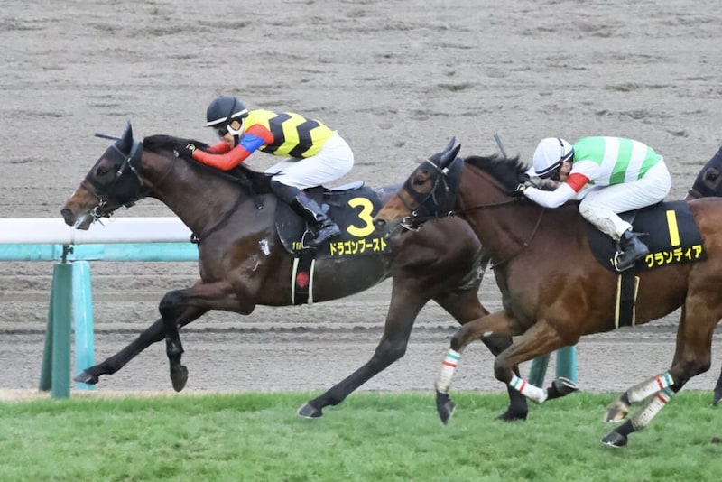 【ディセンバーS】3歳馬ドラゴンブーストが逃げ切る…半年以上の休養明け