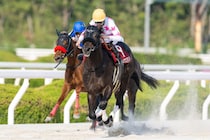 【兵庫ゴールドトロフィー】マテンロウコマンドは8枠11番