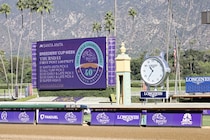 【TCK】米サンタアニタハンデキャップ遠征支援を新設…古馬G1挑戦を後押し、2026年から制度拡充