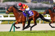 べラジオオペラが登録抹消…社台SSで種牡馬入り