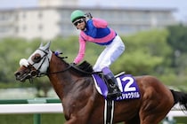 【武豊日記】大目標がいよいよ今週です