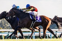 【有馬記念】連覇かかるレガレイラは484kg…出走馬の調教後の馬体重