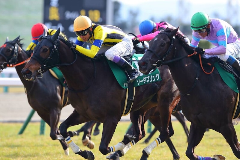 ソーダズリングが引退、繁殖入り