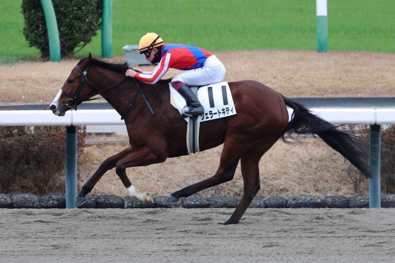 【新馬/中山6R】軽量ジェラートキティが逃げ切る