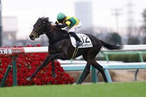 【新馬/中山5R】マーカンド騎乗 ルールザヴェイヴがデビューV