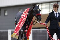 【中山大障害】草野「障害レースも面白いと思っていただけたら」エコロデュエルが春秋ジャンプ王に