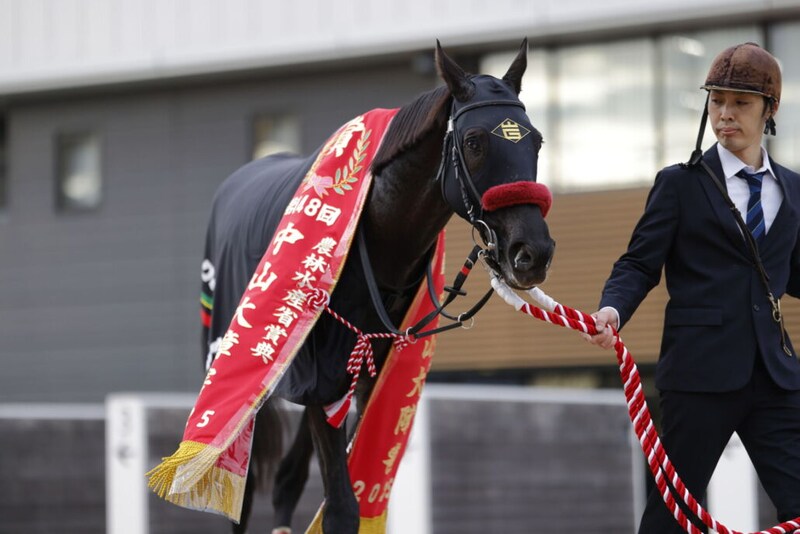 【中山大障害】草野「障害レースも面白いと思っていただけたら」エコロデュエルが春秋ジャンプ王に