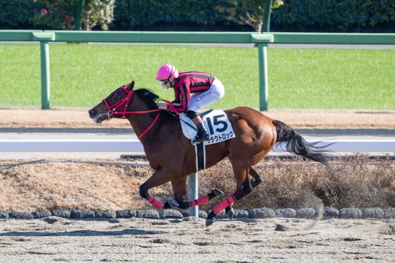 【新馬/中山5R】断然人気クラウトロックが8馬身差圧勝