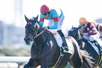 【新馬/中山6R】C.デムーロ騎乗 コンジェスタスがデビューV