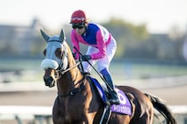 【有馬記念】「これが武豊クオリティ」武豊騎手のブレないジョッキーカメラ映像に反響