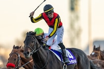 【有馬記念レース回顧】若き皐月賞馬ミュージアムマイルが頂点へ…レガレイラは連覇ならず、武豊メイショウタバルは試練の一戦に