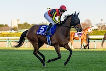 【有馬記念】牝馬レガレイラ連覇ならず…ルメール「エンジンがかかるのが遅かった」レース後ジョッキーコメント