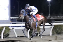 【高知・満天星特別】新馬戦以来の勝利、バリジグリーが準重賞で惜敗続きに終止符