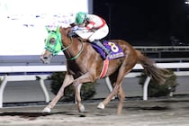 【高知・金の鞍賞】トサノシュジンコウが惜敗続きに終止符