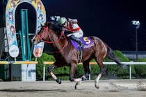 【佐賀・中島記念】アウトドライブ前走の悔しさ晴らす勝利…飛田愛斗「本当に根性のある馬」