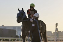 【東京大賞典】荒山師「ドバイに向かうことになるんじゃないかなと思います」ディクテオンがG1初制覇