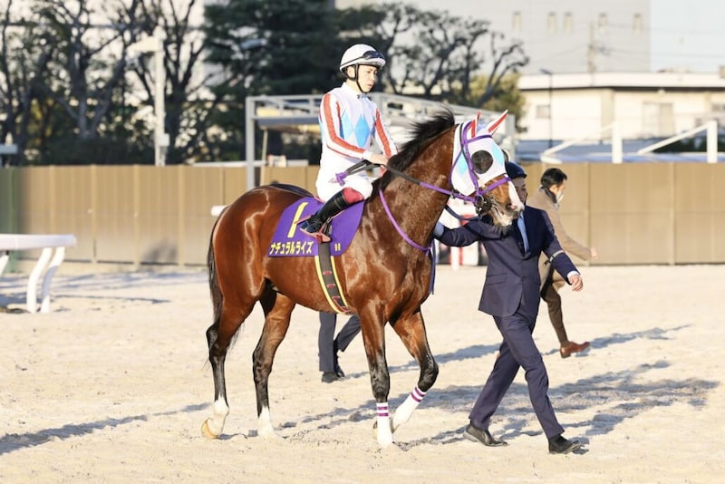 【東京大賞典】横山武「初めての古馬対戦でしたし、また改めてです」3歳ダート二冠馬ナチュラルライズは11着大敗